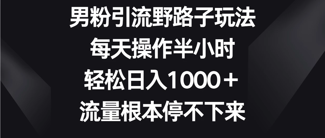 男粉引流野路子玩法，每天操作半小时轻松日入1000＋，流量根本停不下来 - 小辰精品|源码站™