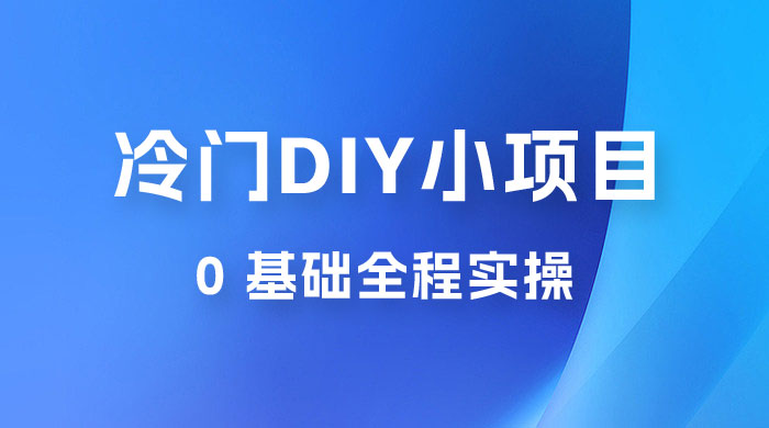 日入几百的冷门 DIY 小项目 0 基础全程实操 - 小辰精品|源码站™