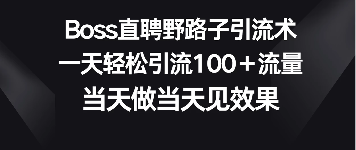 Boss直聘野路子引流术，一天轻松引流100+流量，当天做当天见效果 - 小辰精品|源码站™