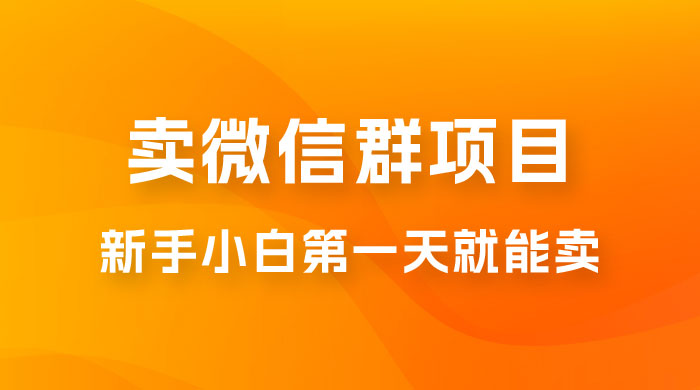最新卖微信群项目玩法拆解：新手小白第一天就能卖，日入 300+ - 小辰精品|源码站™