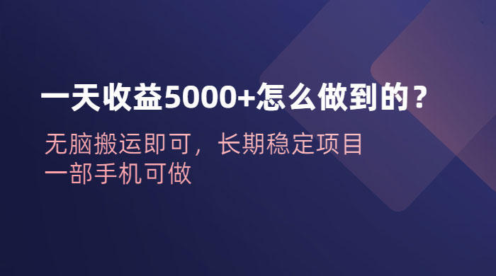 一天收益 5000+ 怎么做到的？无脑搬运即可，长期稳定项目，一部手机可做 - 小辰精品|源码站™