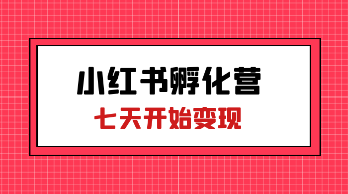价值 2000+ 的小红书孵化营项目，超级大蓝海，七天即可开始变现，稳定月入 1W+ - 小辰精品|源码站™