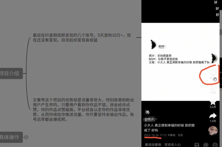 图片[2] - 最新抖音暴力文案号，五天涨粉 10w+，喂饭级拆解教学 - 小辰精品|源码站™