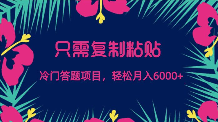 只需复制粘贴，冷门答题项目，轻松月入 6000 - 小辰精品|源码站™