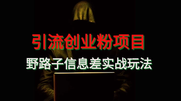 野路子信息差玩法实战教学，引流创业粉 - 小辰精品|源码站™