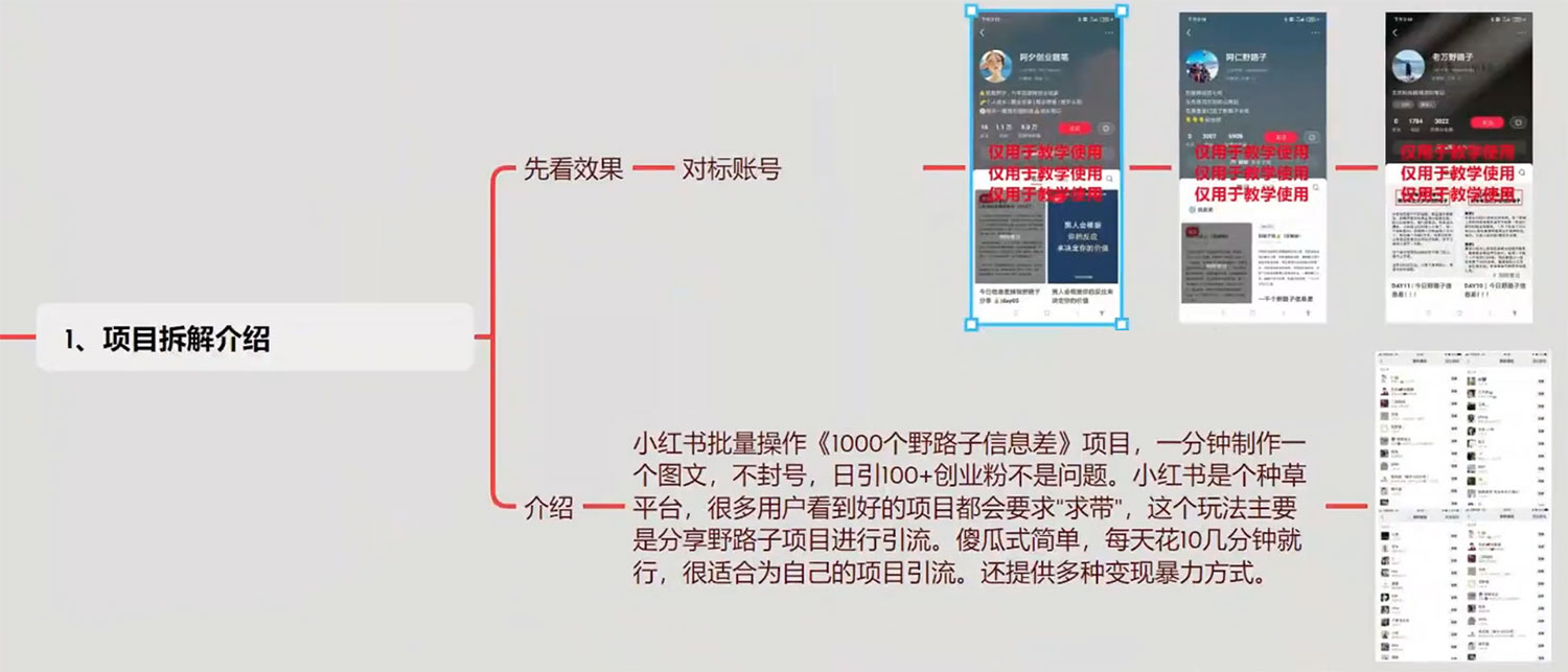 图片[2] - 小红书批量操作《 1000 个野路子信息差》玩法，日引 100+ 创业粉，一分钟一个图文 - 小辰精品|源码站™