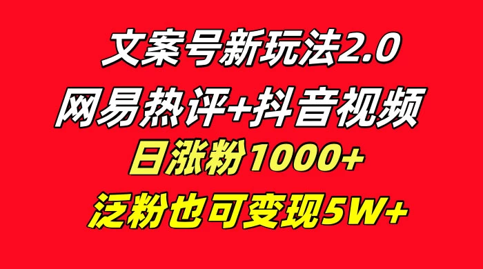 文案号新玩法，网易热评+抖音文案 一周轻松涨粉 5W+ 多种变现模式 - 小辰精品|源码站™