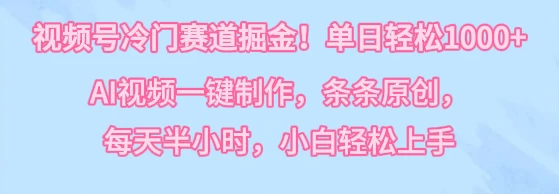 视频号冷门赛道掘金！单日轻松1000+，AI视频一键制作，条条原创，每天半小时，小白轻松上手 - 小辰精品|源码站™