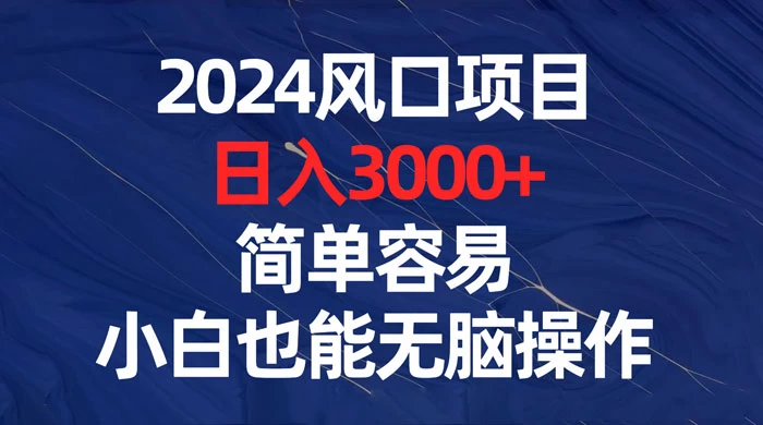 2024 风口项目，日入 3000+，简单容易，小白也能无脑操作 - 小辰精品|源码站™