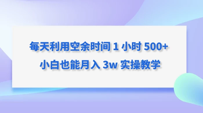 每天利用空余时间 1 小时 500+ 小白也能月入 3w 实操教学 - 小辰精品|源码站™