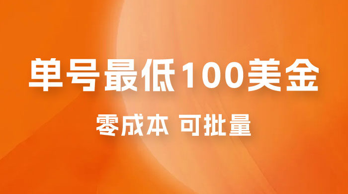 仅揭秘：单号最低 100 美金，零成本，小白无脑操作，可复制，可扩大 - 小辰精品|源码站™