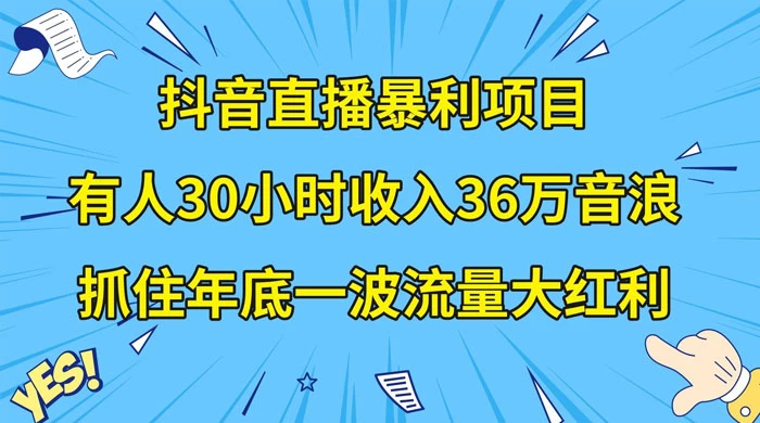 抖音直播暴利项目，有人 30 小时收入 36 万音浪，公司宣传片年会视频制作，抓住年底一波流量大红利 - 小辰精品|源码站™