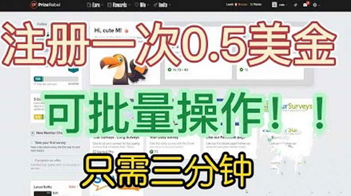国外注册一次 0.5 美金项目：只需三分钟无脑操作、小白工作室福利 - 小辰精品|源码站™