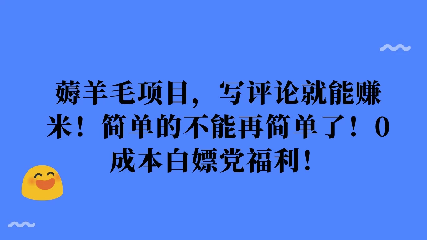 薅羊毛项目，写评论就能赚米！简单的不能再简单了！0成本白嫖党福利！ - 小辰精品|源码站™