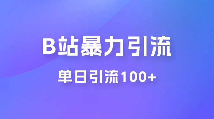 B 站暴力引流新玩法，单日引流 100+ - 小辰精品|源码站™