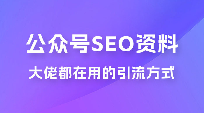 公众号 SEO 虚拟资料，操作简单，日入 500+，可批量操作 - 小辰精品|源码站™