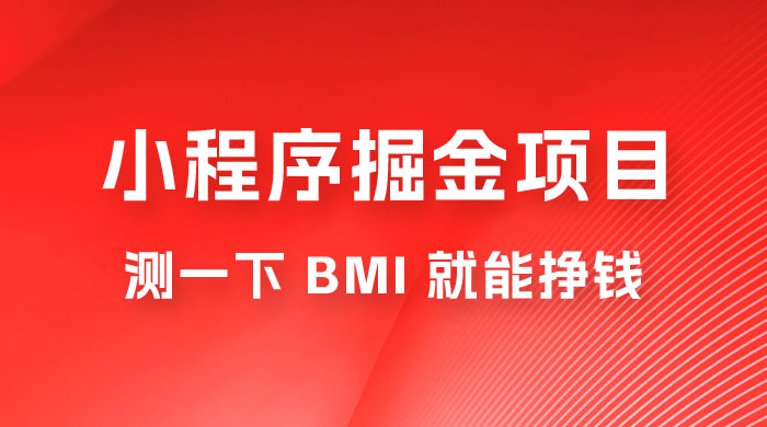 日入 300+ 的小程序掘金项目，测一下 BMI 就能挣钱 - 小辰精品|源码站™