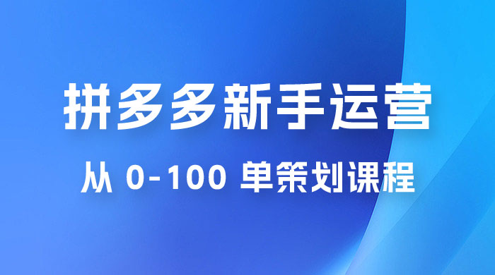 拼多多新手运营从 0-100 单策划课程，从零起步到爆单详细教程 - 小辰精品|源码站™