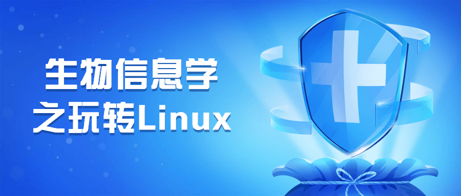 生物信息学之玩转Linux - 小辰精品|源码站™
