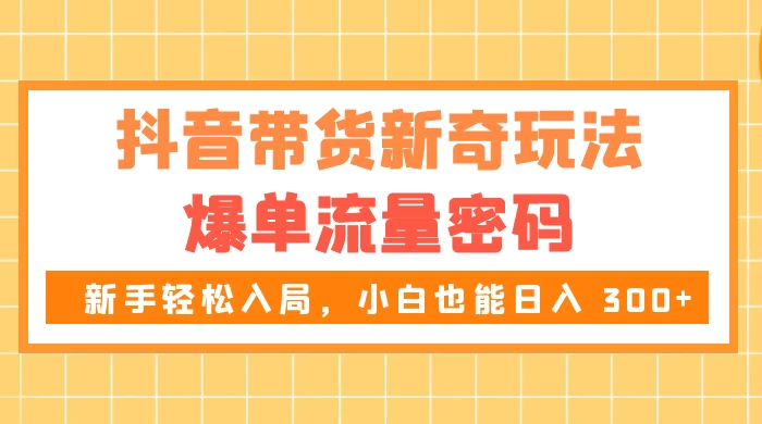 抖音带货新奇玩法，爆单流量密码，新手轻松入局，小白也能日入 300+ - 小辰精品|源码站™