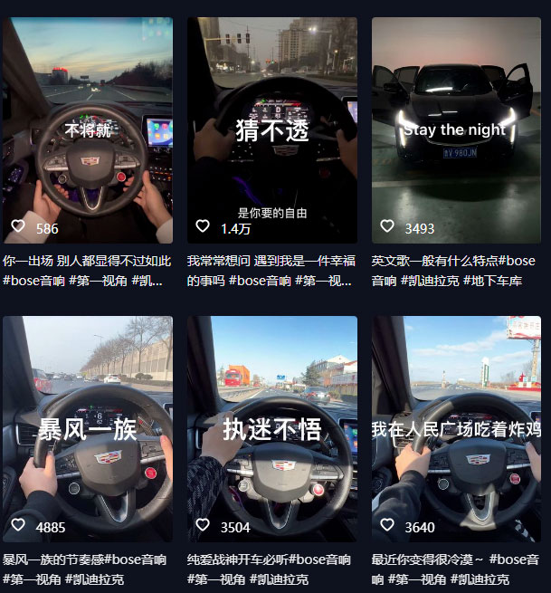 图片[2] - 抖音开车视频项目：0基础操作，每天五分钟，月入过万 - 小辰精品|源码站™