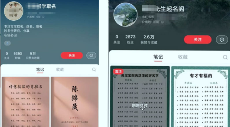 冷门暴利项目：给宝宝起名 一单 200+「教程+工具」 - 小辰精品|源码站™