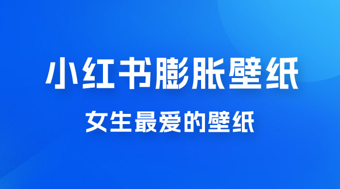 小红书膨胀壁纸项目玩法，女生最爱的壁纸，0 门槛新手也可操作日入 300+ - 小辰精品|源码站™