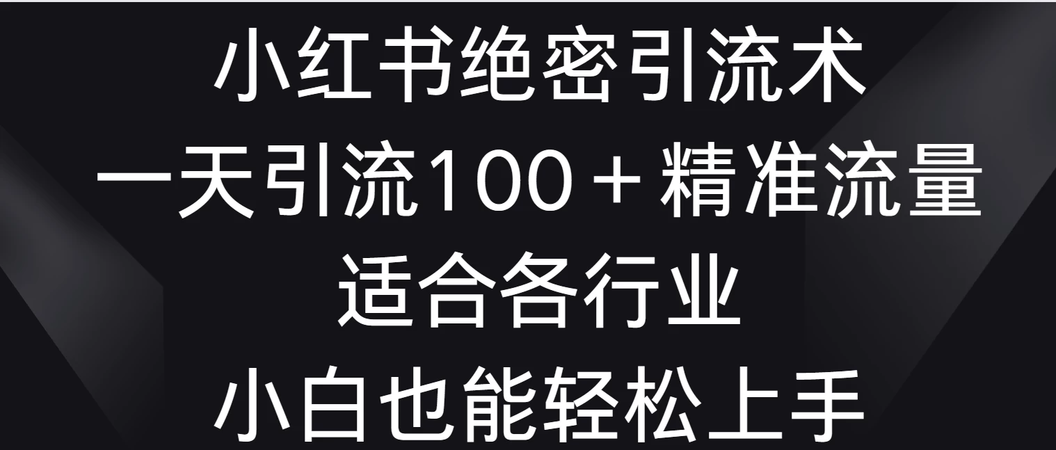 小红书绝密引流术，一天引流100＋精准流量，适合各个行业，小白也能轻松上手 - 小辰精品|源码站™